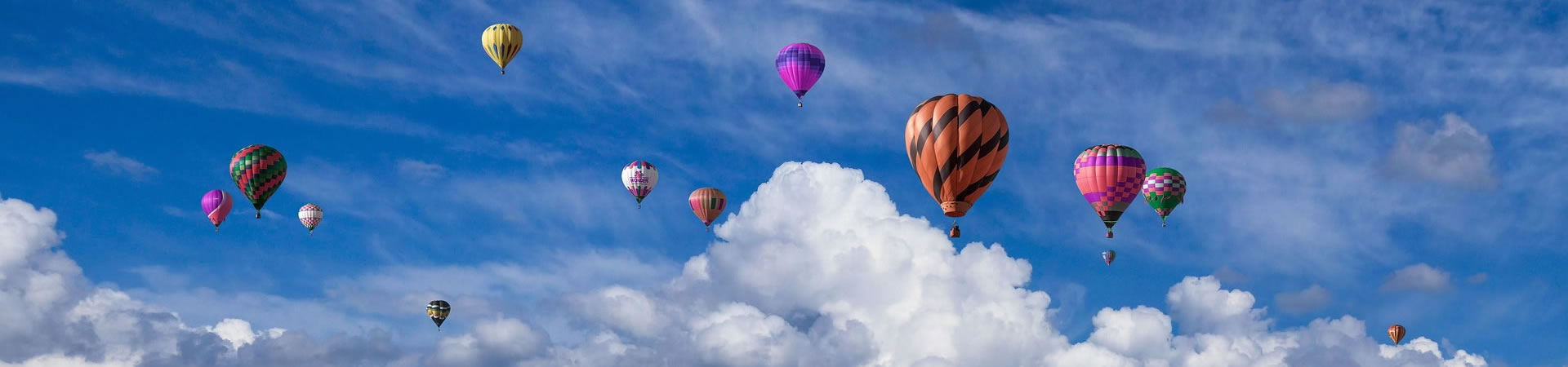好老师内部交流群